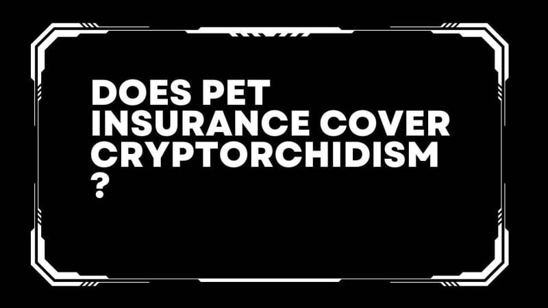 Does pet insurance cover cryptorchidism?