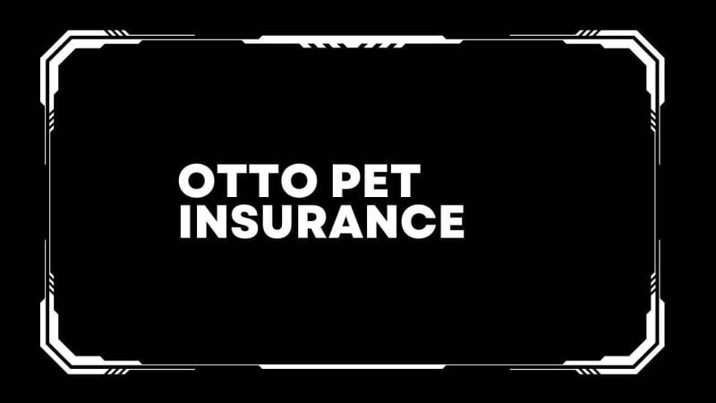 Otto Pet Insurance: The Modern Pet Owner's Choice